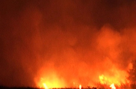 Armenians started committing arsons in occupied Azerbaijani lands again - PHOTOS